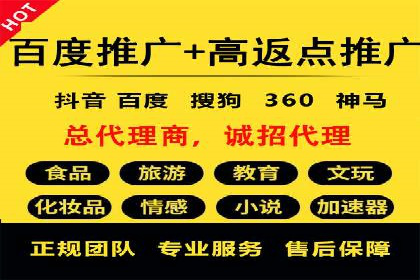 某某SEM团队成功提升网站流量与转化率的实战经验